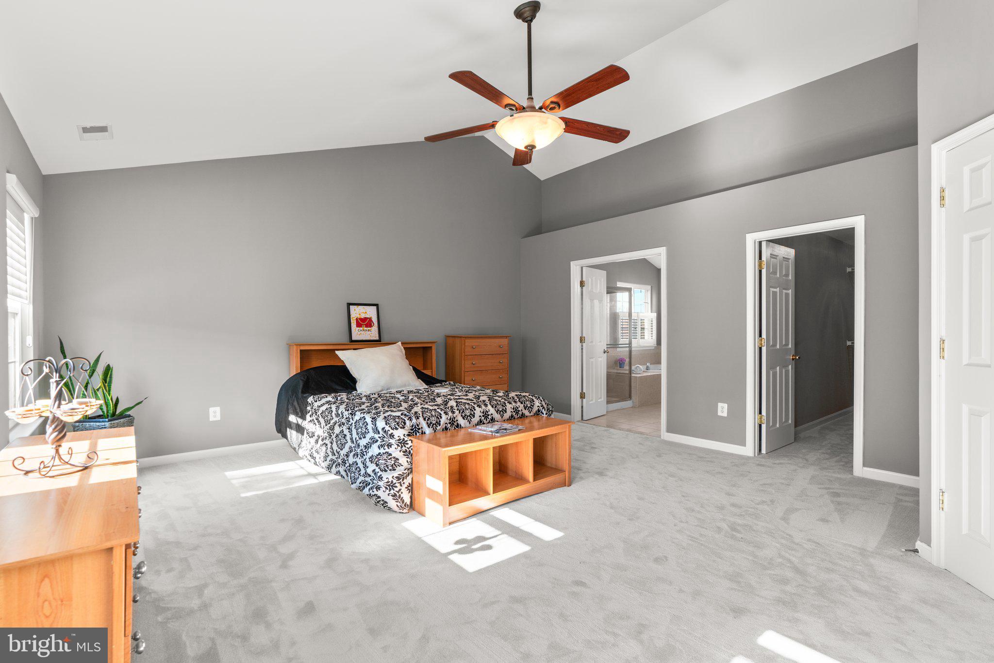 8054 High Castle Road Ellicott City, MD 21043 - Photo 23 of 63 Primary Bedroom