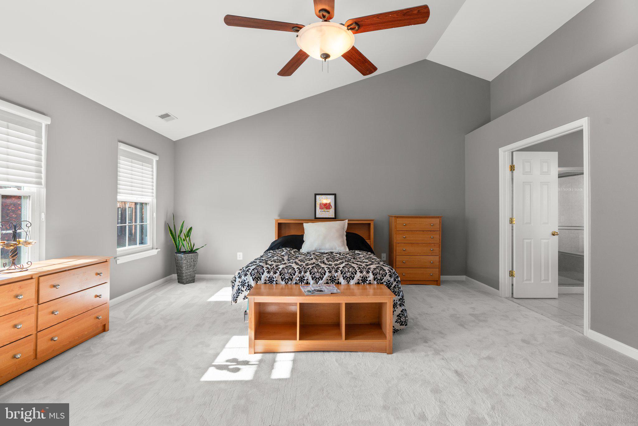 8054 High Castle Road Ellicott City, MD 21043 - Photo 24 of 63 Primary Bedroom