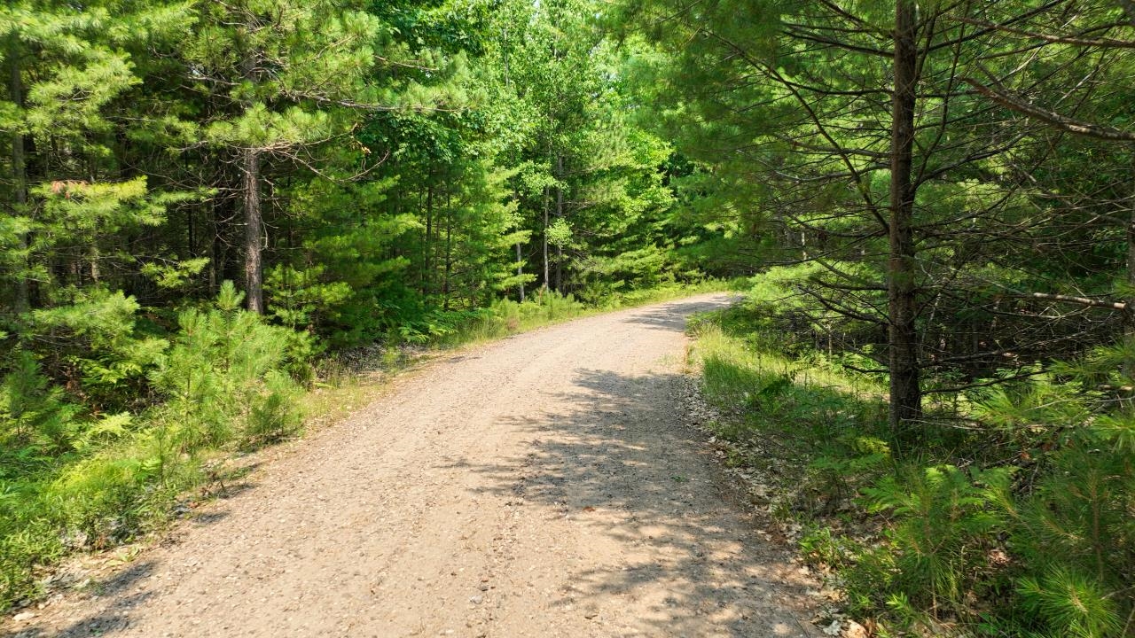 6280 Snipe Lake Road Eagle River, WI 54521 - Photo 12 of 27