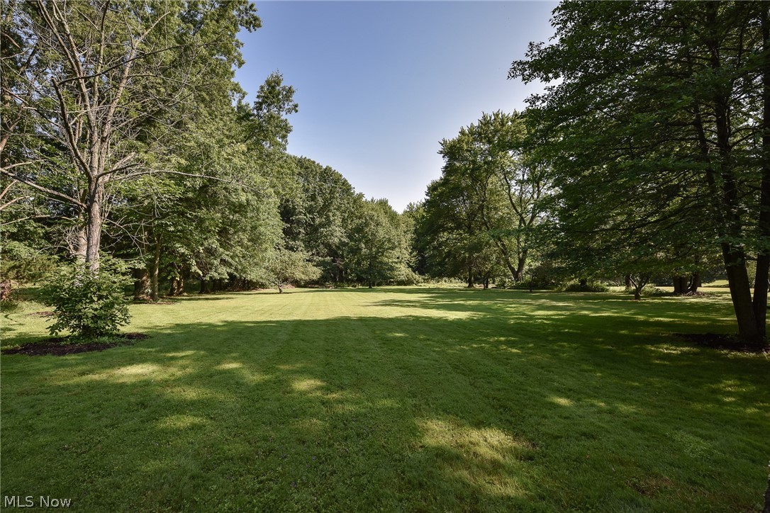 30749 Jackson Road Chagrin Falls, OH 44022 - Photo 25 of 29 Large backyard
