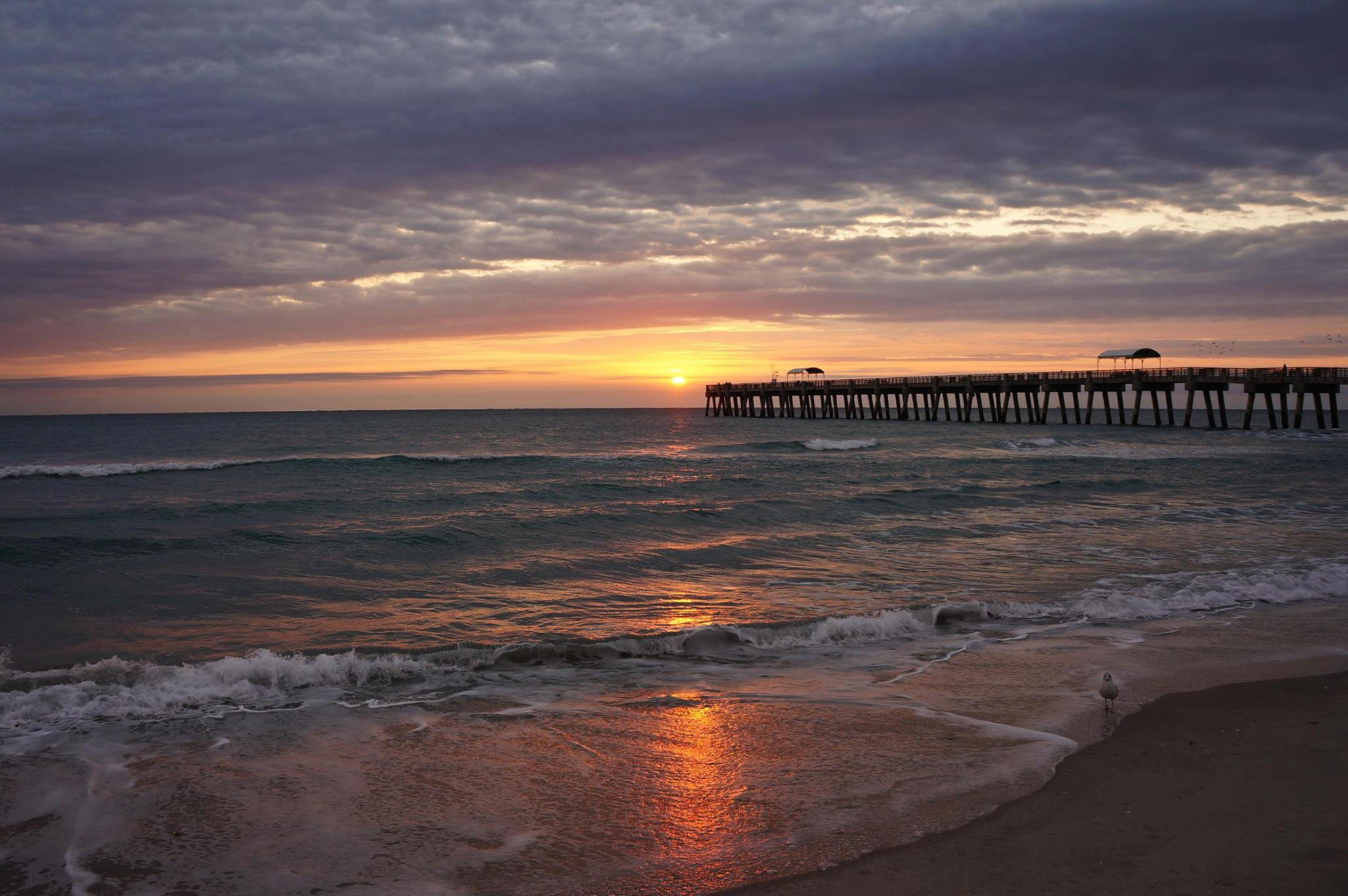 132 Jupiter Key Road Jupiter, FL 33477 - Photo 28 of 29 10901428_10152521249306781_1006651315_o