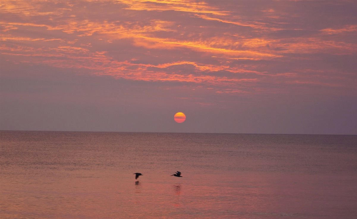 132 Jupiter Key Road Jupiter, FL 33477 - Photo 29 of 29 10901826_10152521249136781_505683831_o