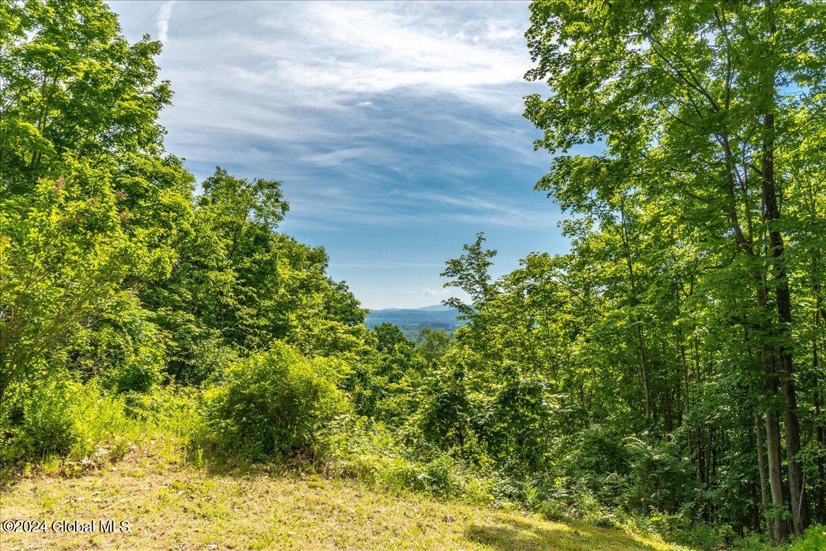 116 County Rt 67 Stillwater, NY 12170 - Photo 50 of 71 14-116 Co Rd 67-14