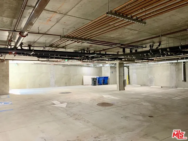 a bunch of flowers are in a garden