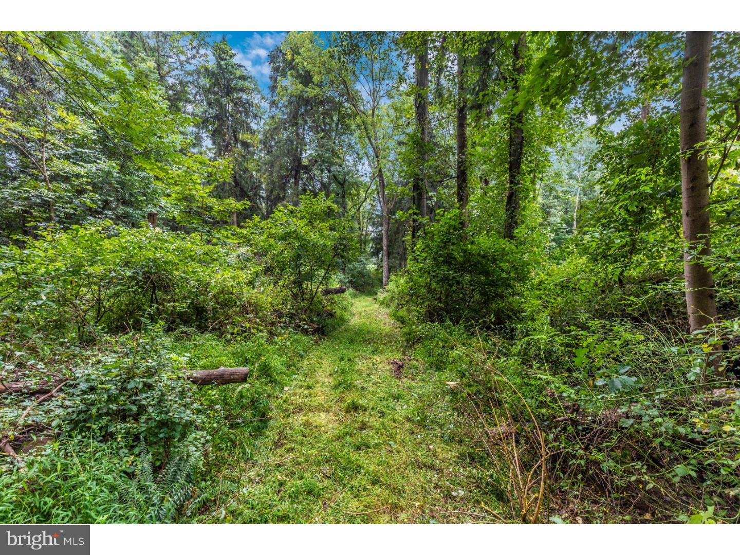 175 Indian Run Road Glenmoore, PA 19343 - Photo 22 of 25
