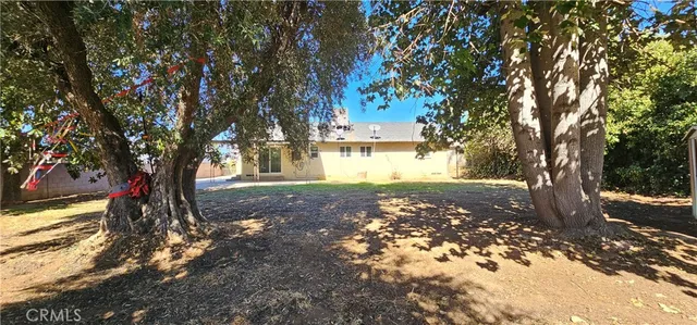 a view of a backyard