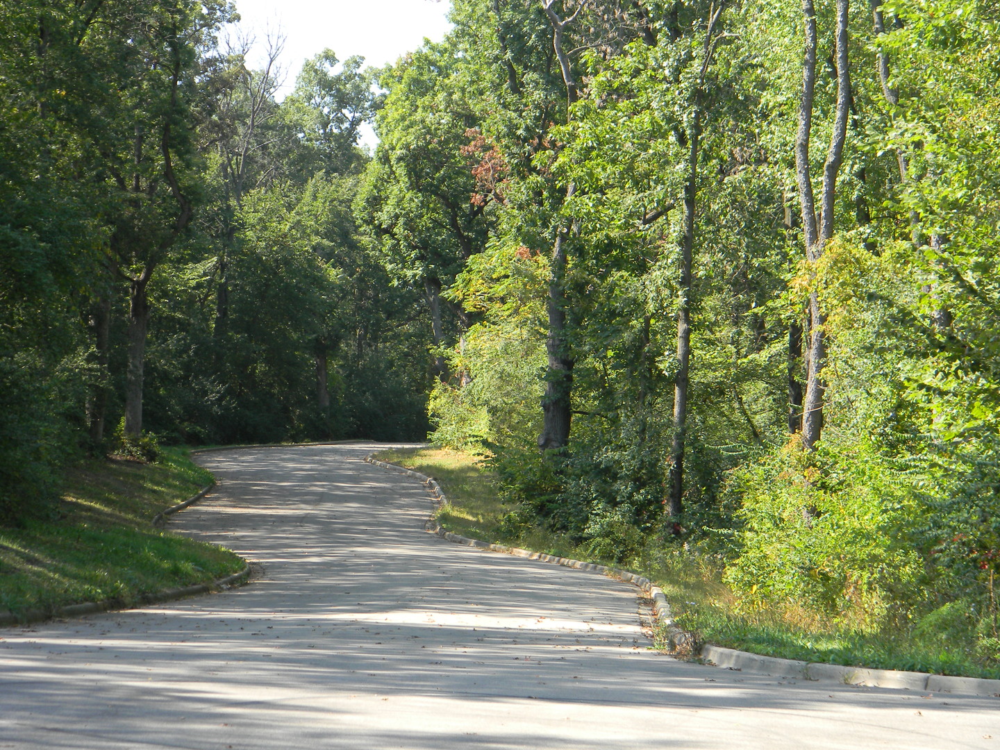 7102 Forest Oak Drive McHenry, IL 60050 - Photo 2 of 8