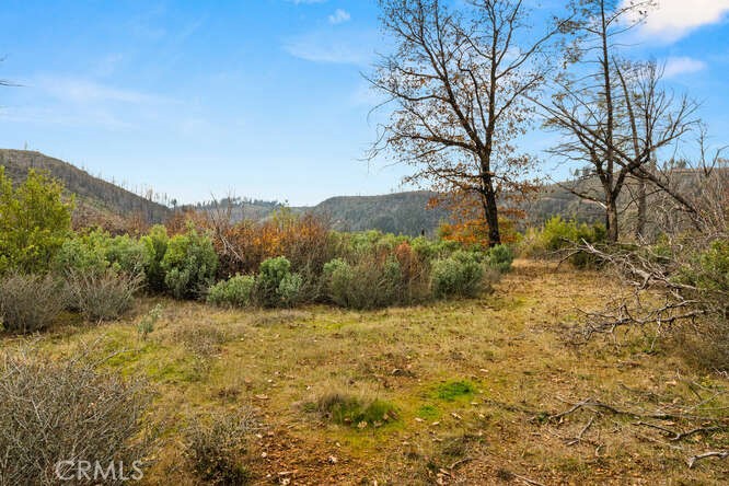 0 Jordan Hill Road Paradise, CA 95969 - Photo 12 of 27 a view of a yard with a tree