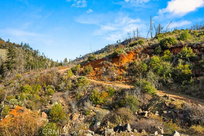0 Jordan Hill Road Paradise, CA 95969 - Photo 4 of 27 a view of a yard
