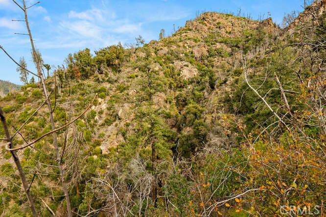 0 Jordan Hill Road Paradise, CA 95969 - Photo 9 of 27 a view of a large tree