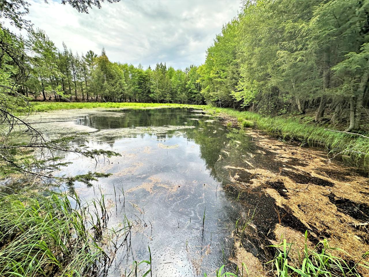 W7407 Boyer Road Fifield, WI 54524 - Photo 47 of 61 Gallery Image 47