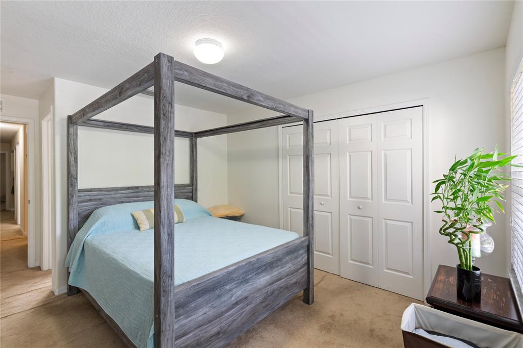 10901 Brickside Court Riverview, FL 33579 - Photo 15 of 36 a bedroom with bed and a potted plant