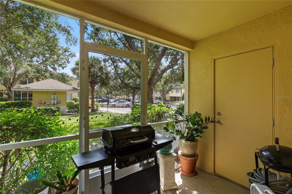 10901 Brickside Court Riverview, FL 33579 - Photo 27 of 36 a view of a balcony with chair and potted plants