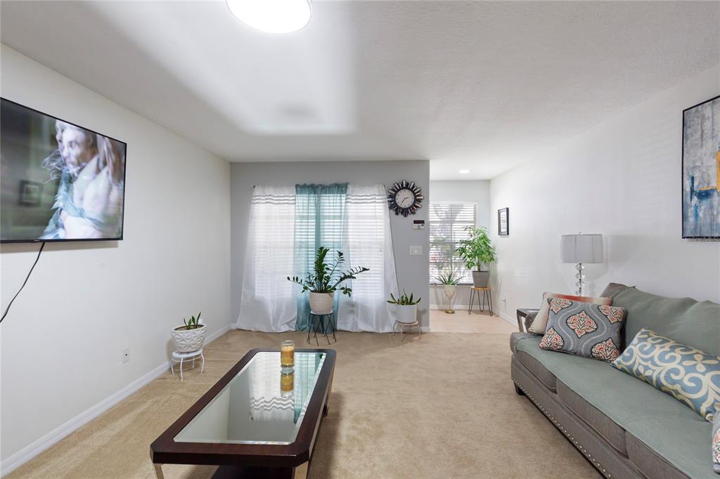 10901 Brickside Court Riverview, FL 33579 - Photo 6 of 36 a living room with furniture and potted plant