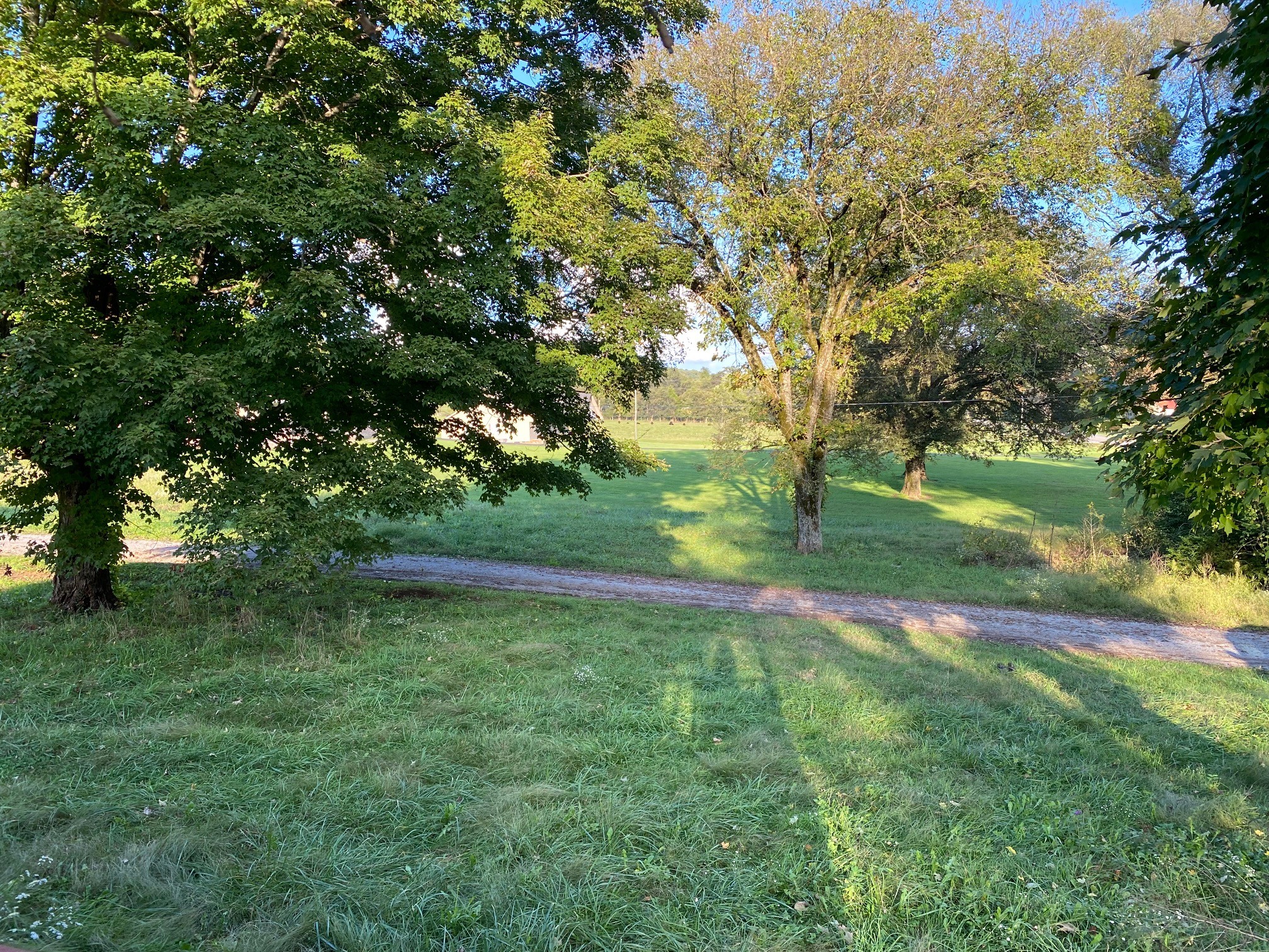 245 Chipman Road Bethpage, TN 37022 - Photo 13 of 13 Gallery Image 13