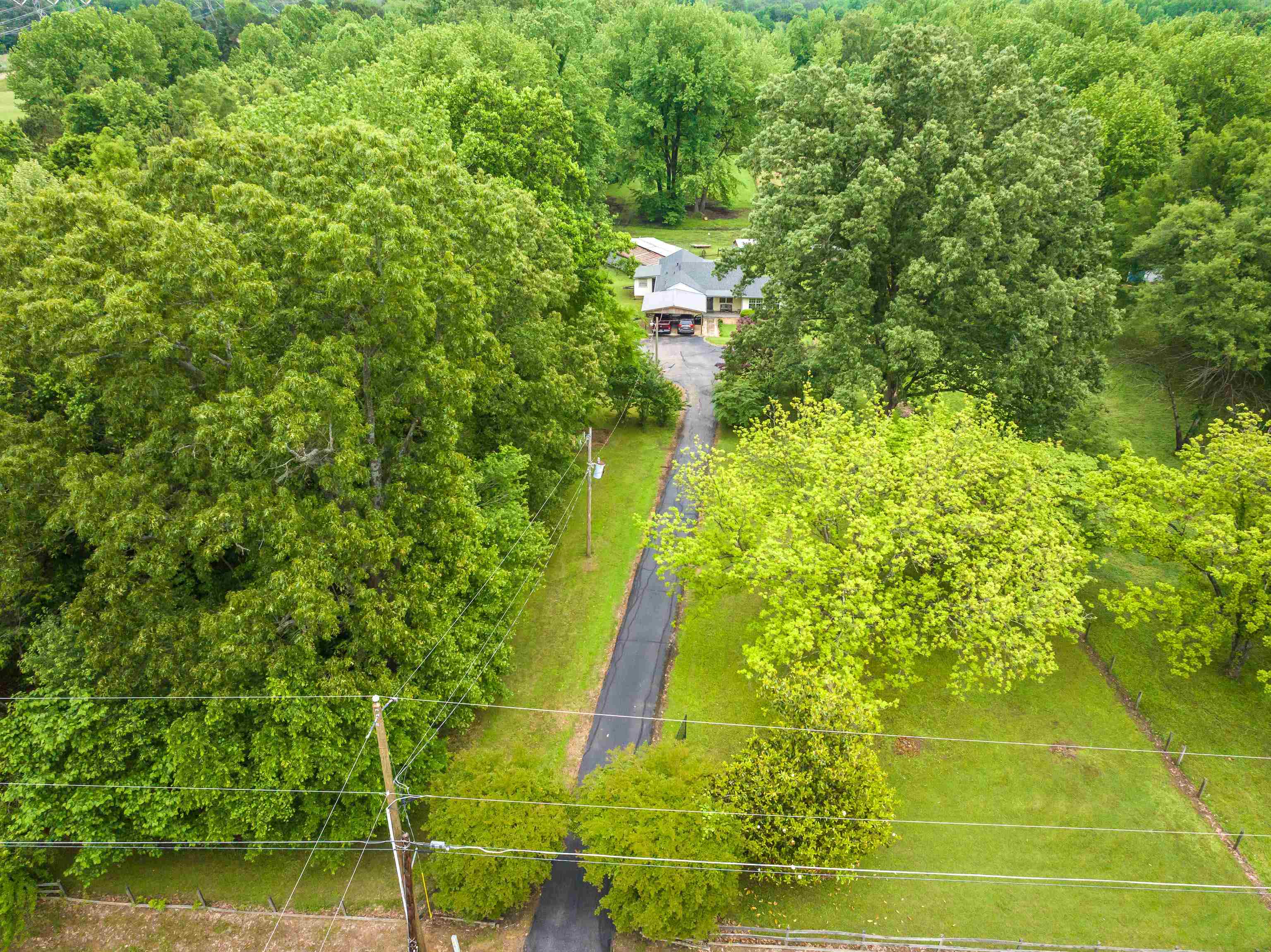 9252 Brunswick Road Millington, TN 38053 - Photo 1 of 40 a view of a yard with large trees