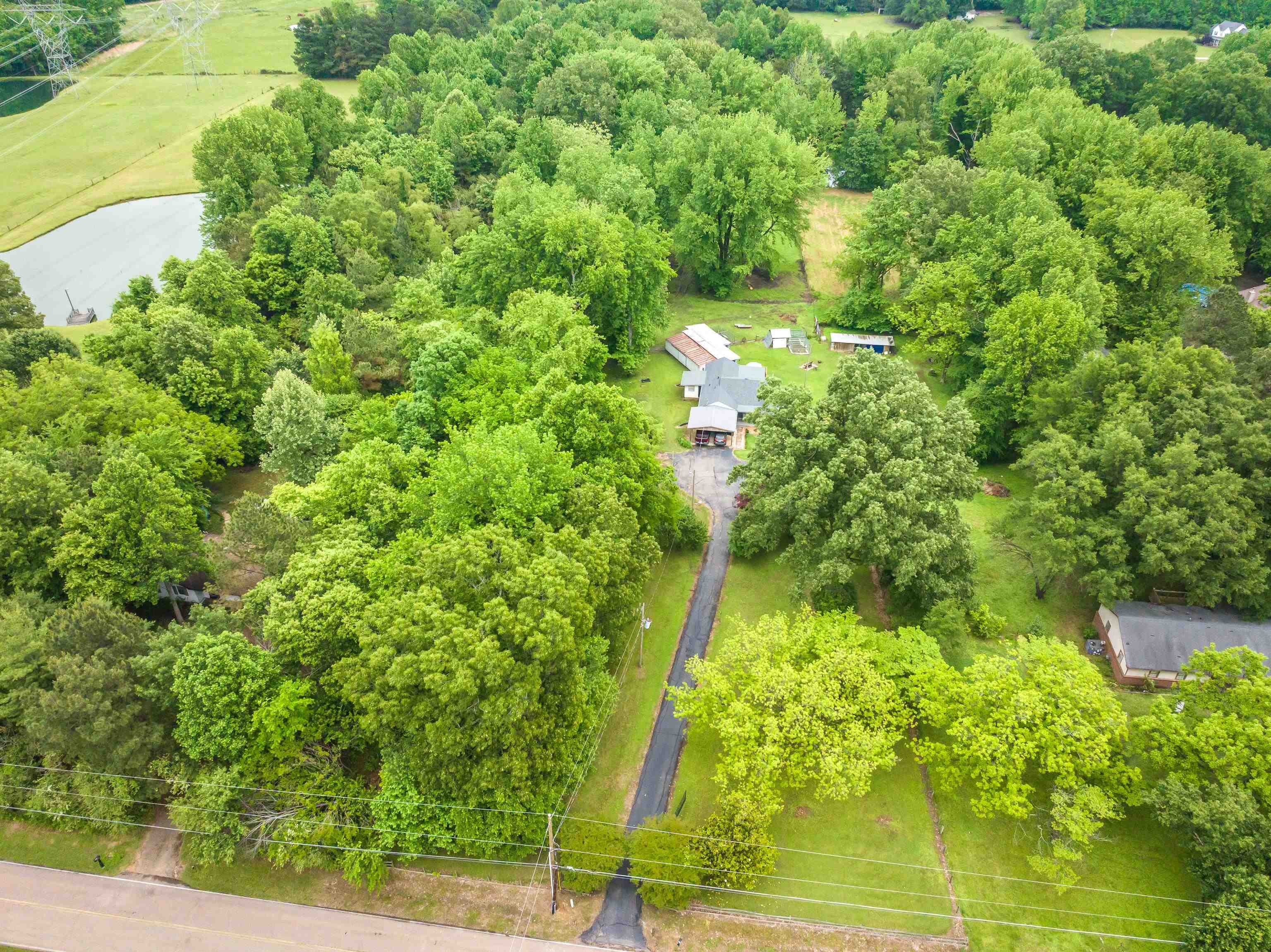 9252 Brunswick Road Millington, TN 38053 - Photo 3 of 40 a view of a yard with plants