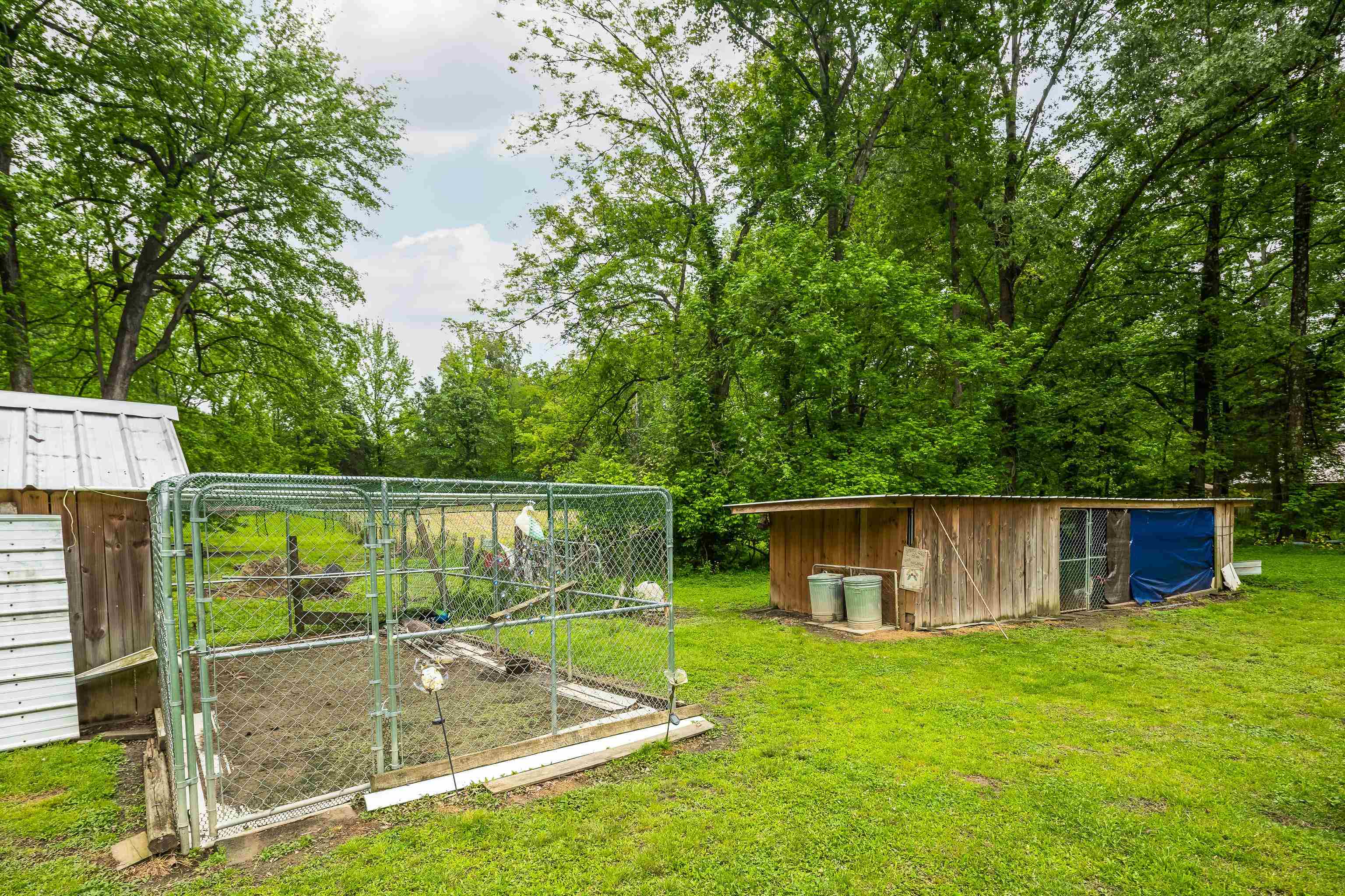 9252 Brunswick Road Millington, TN 38053 - Photo 34 of 40 a view of a backyard with a small cabin