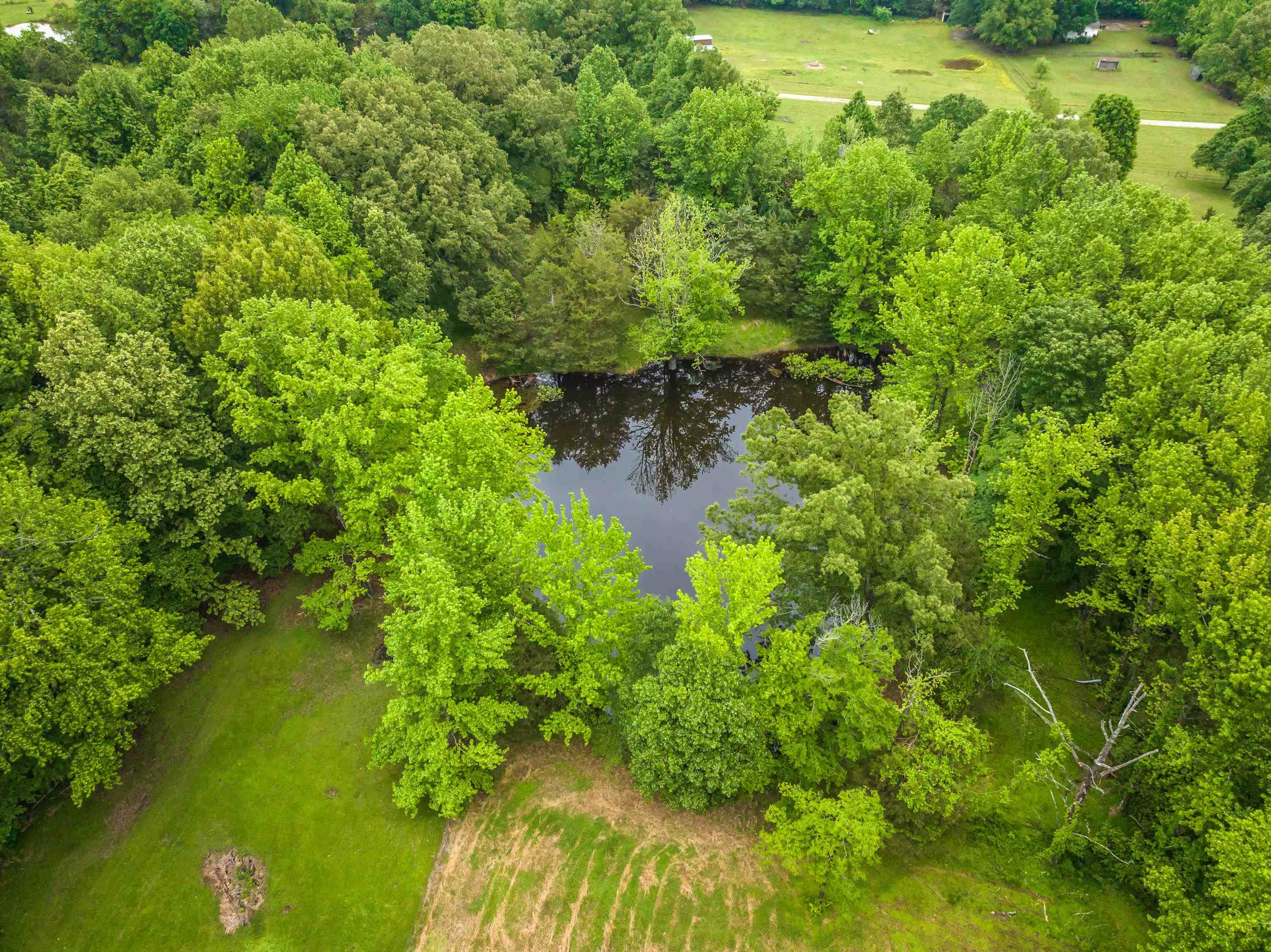 9252 Brunswick Road Millington, TN 38053 - Photo 37 of 40 a backyard of a house with lots of green space