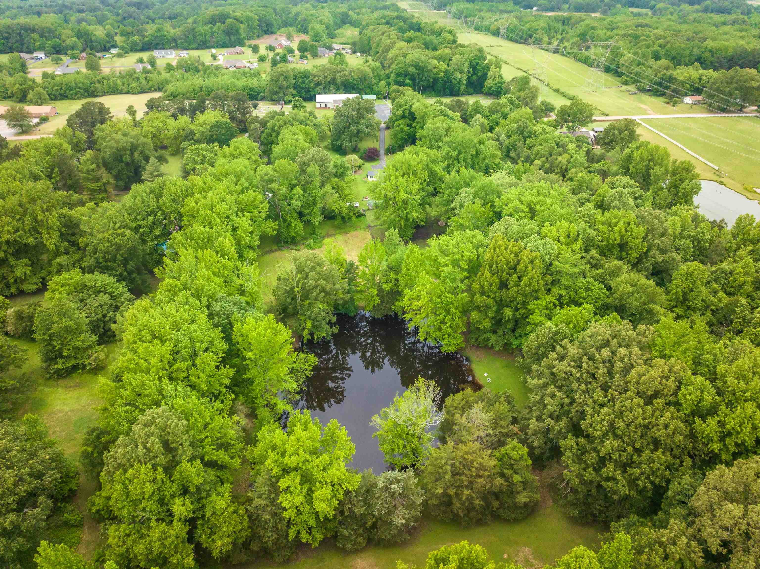9252 Brunswick Road Millington, TN 38053 - Photo 38 of 40 a view of a garden with a tree