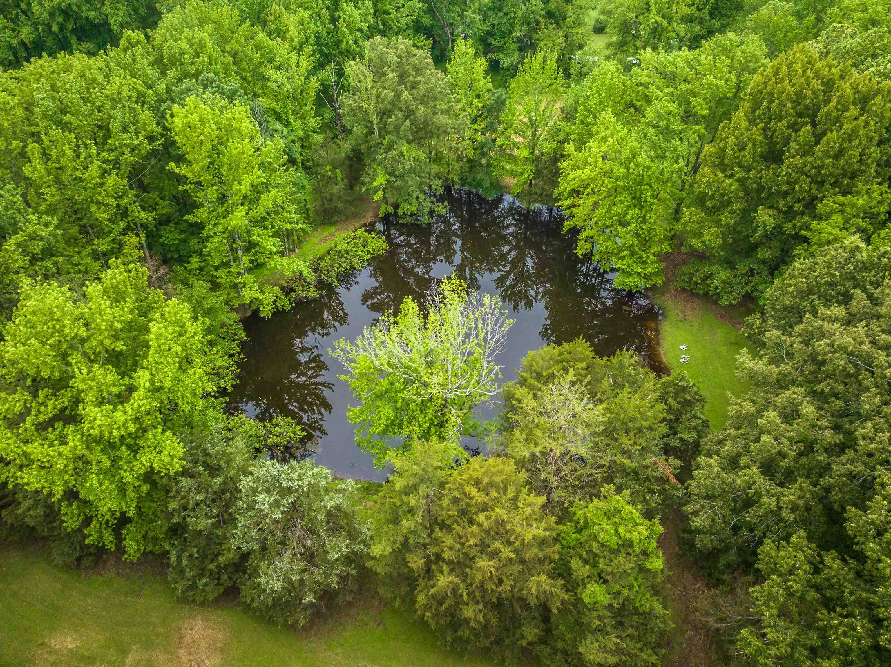 9252 Brunswick Road Millington, TN 38053 - Photo 39 of 40 a view of a garden