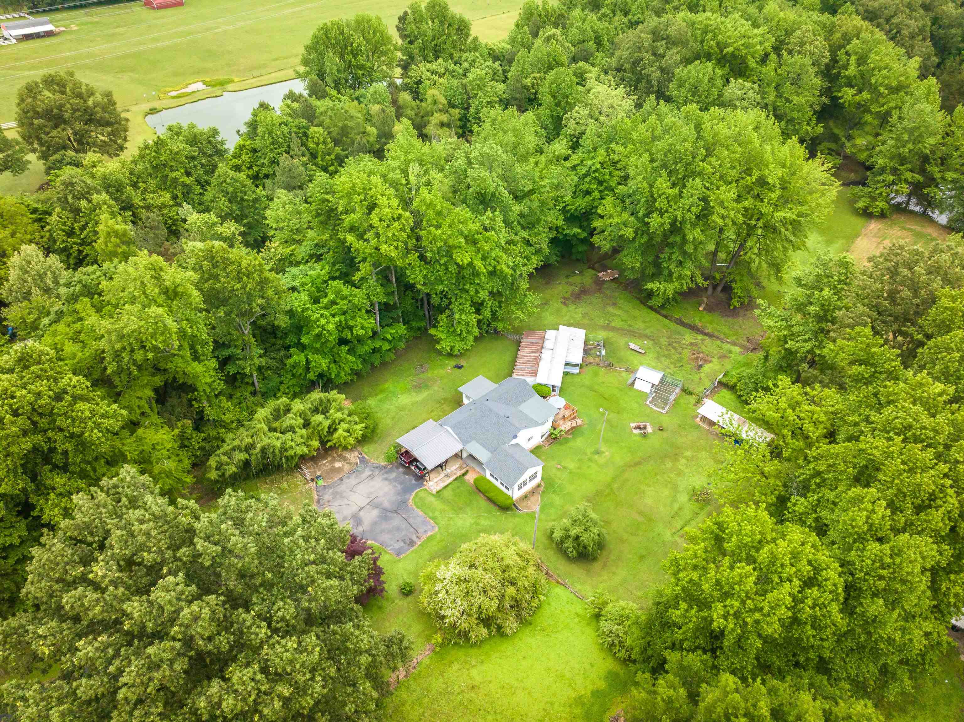 9252 Brunswick Road Millington, TN 38053 - Photo 5 of 40 a lush green forest with lots of trees