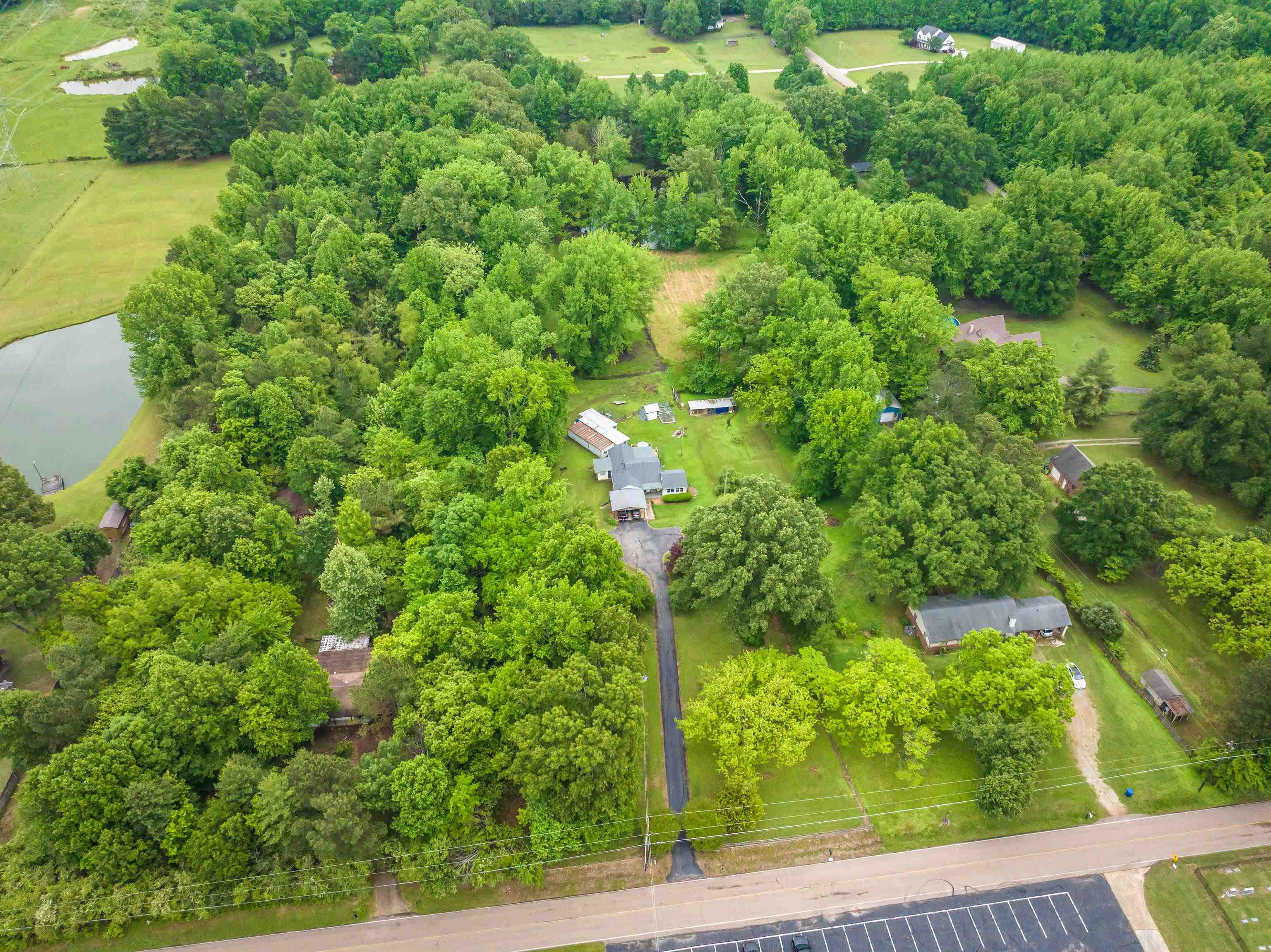9252 Brunswick Road Millington, TN 38053 - Photo 7 of 40 a view of a yard with plants