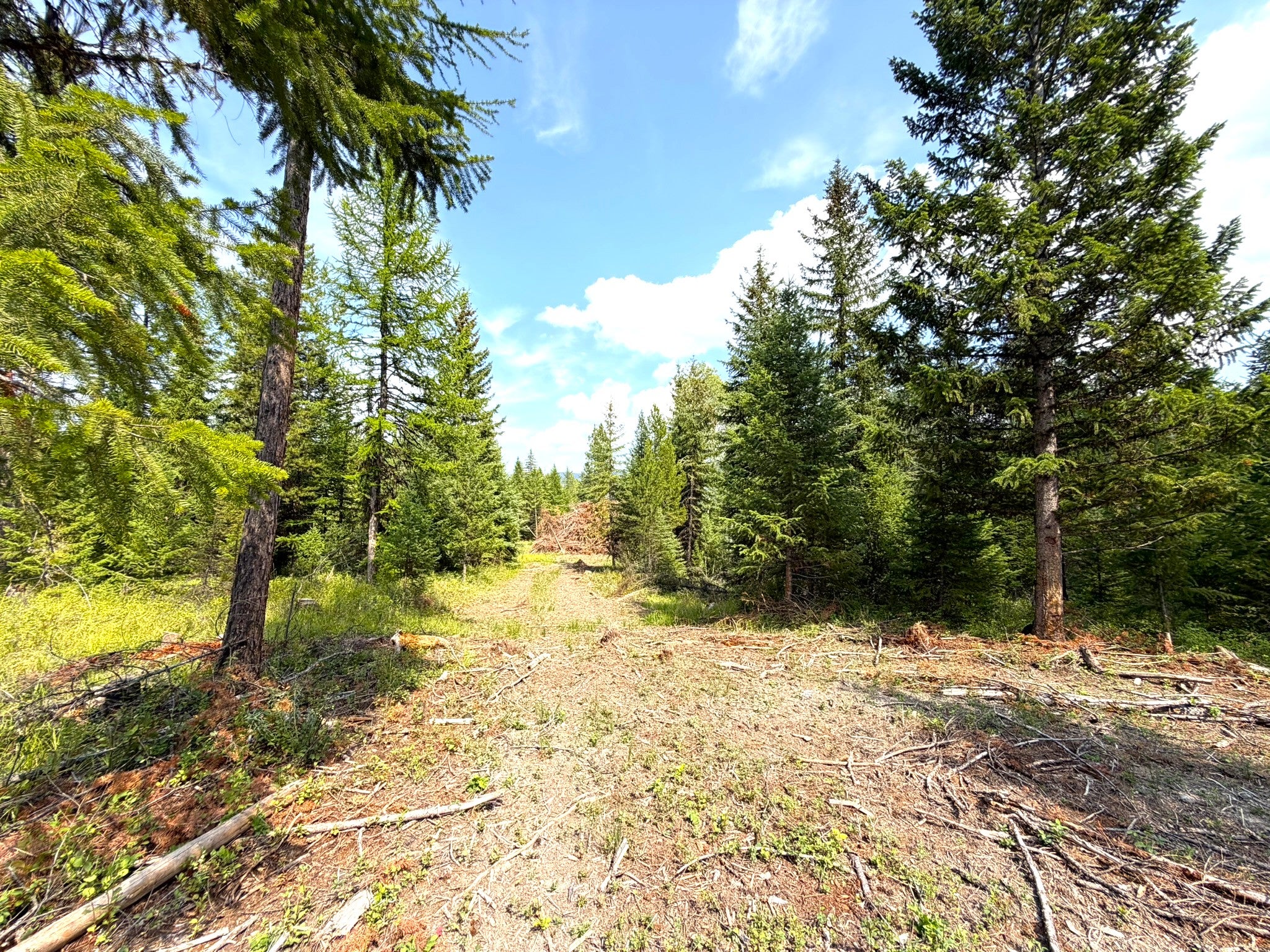 468 Haskill Rnch Road Kila, MT 59920 - Photo 7 of 14 Gallery Image 7