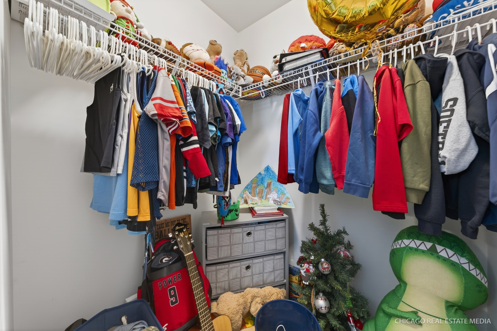 295 Monarch Lane Volo, IL 60020 - Photo 21 of 36 a view of walk in closet with clothes and shoes