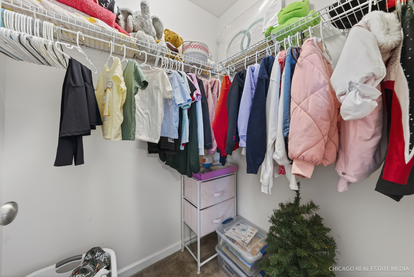 295 Monarch Lane Volo, IL 60020 - Photo 23 of 36 a view of walk in closet with clothes and shoes