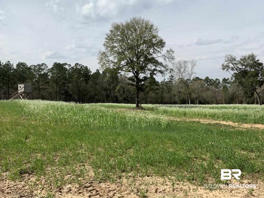 17525 Joe Gottler Road Elberta, AL 36530 - Photo 26 of 44