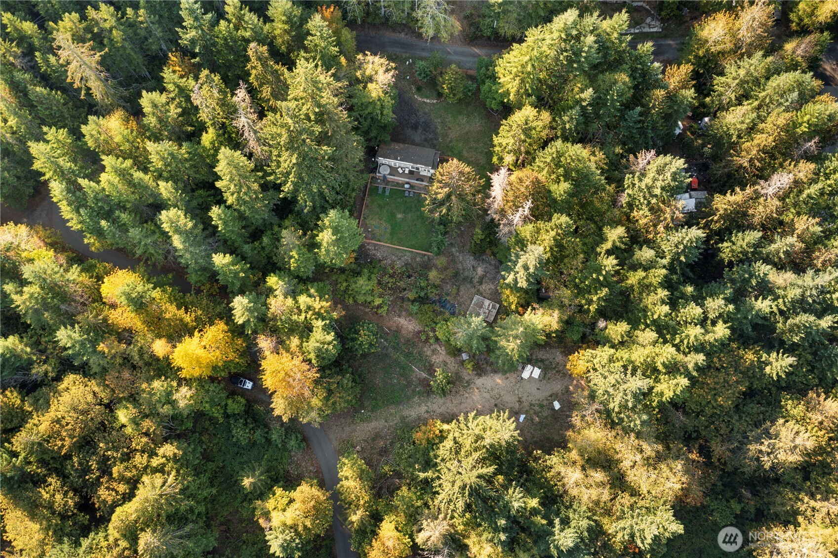50 North Rustic Ridge Drive Lilliwaup, WA 98555 - Photo 25 of 40 a view of a tree