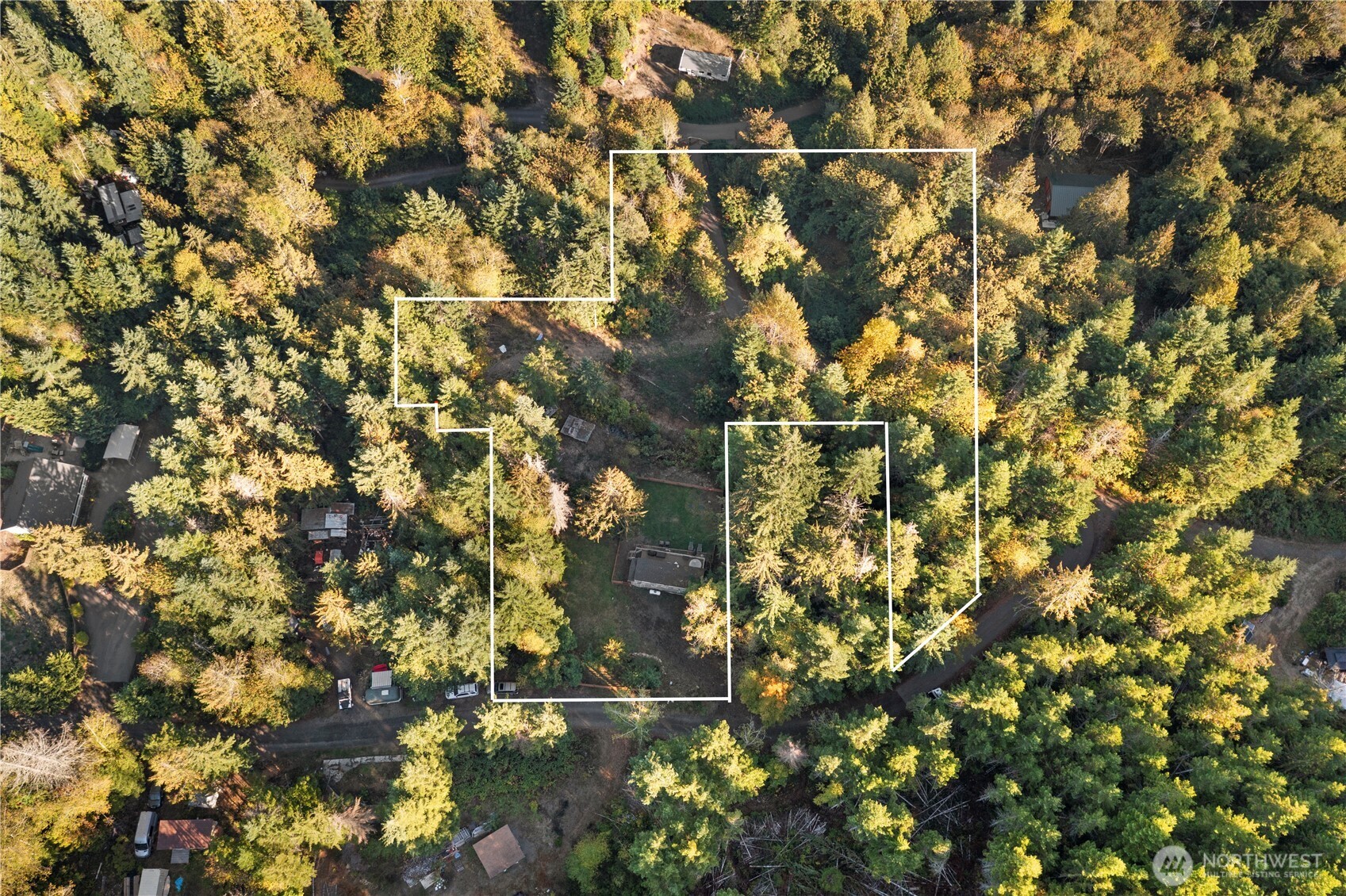 50 North Rustic Ridge Drive Lilliwaup, WA 98555 - Photo 3 of 40 a picture of a tree