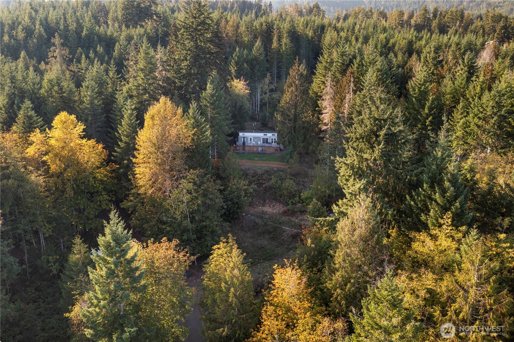 50 North Rustic Ridge Drive Lilliwaup, WA 98555 - Photo 32 of 40 a view of a tree in a yard