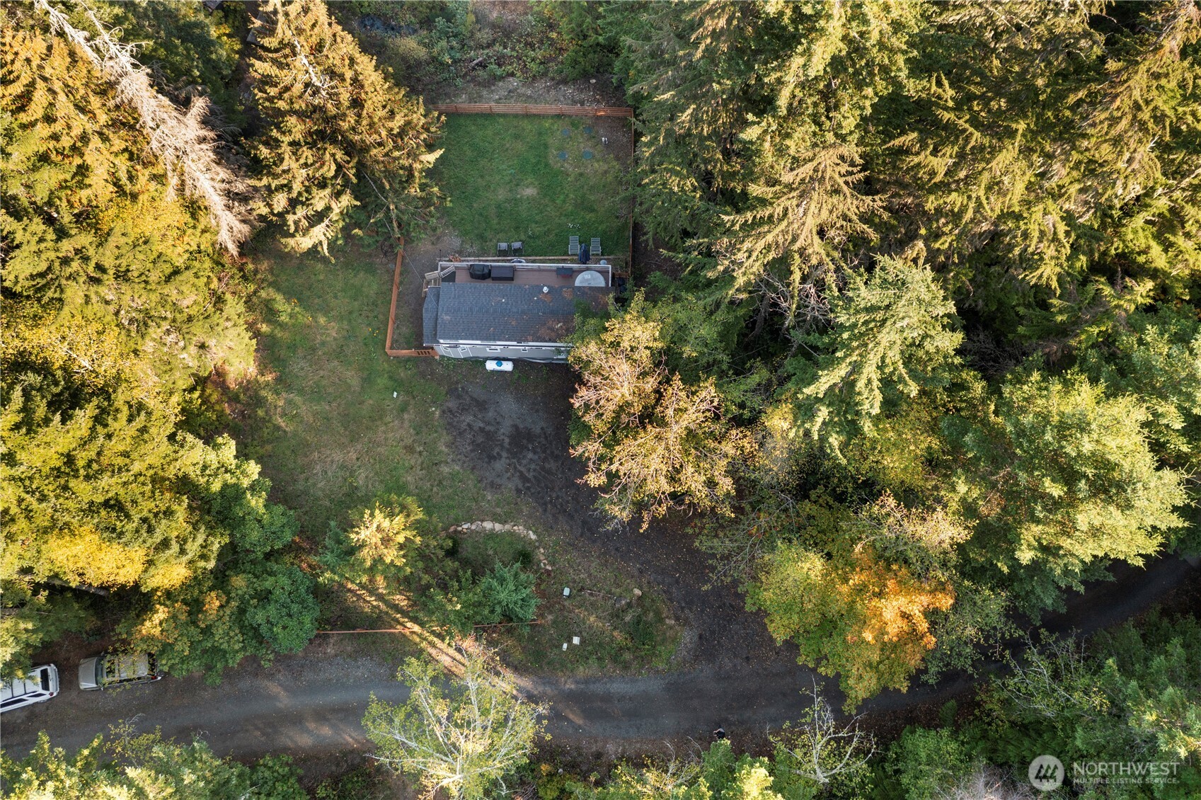 50 North Rustic Ridge Drive Lilliwaup, WA 98555 - Photo 35 of 40 a picture of trees