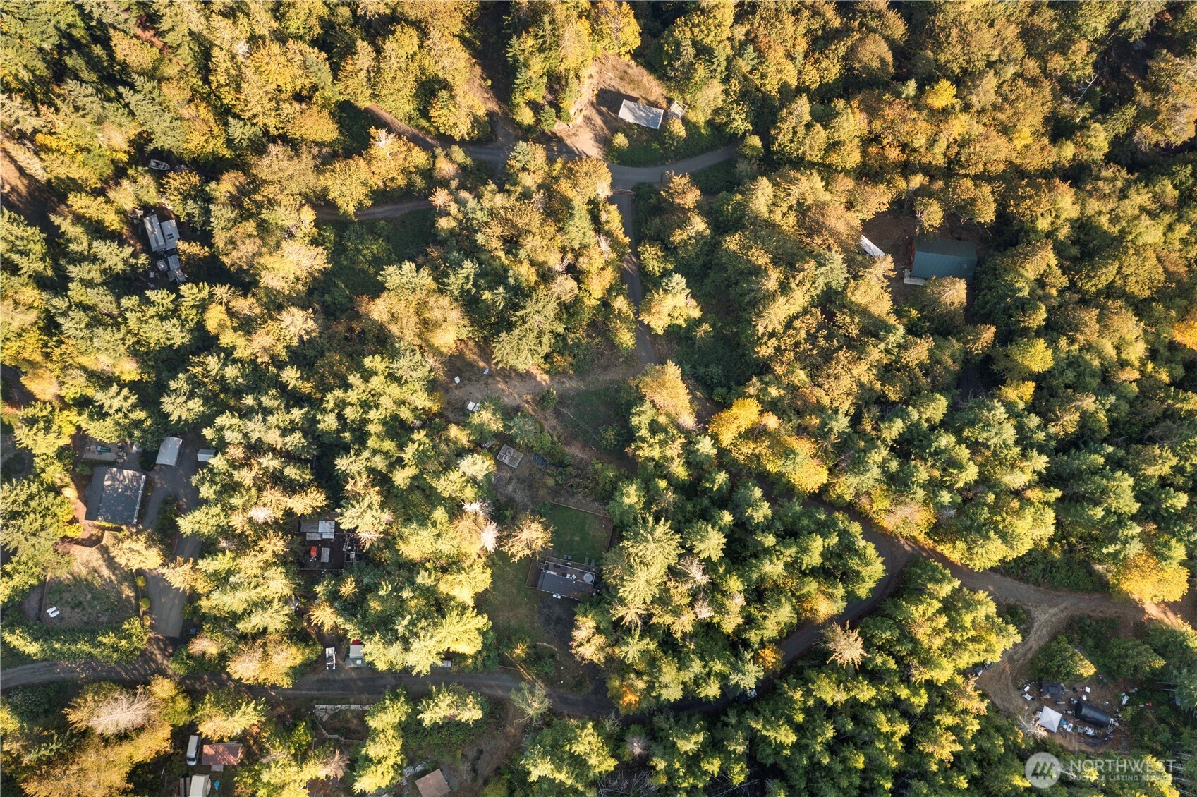 50 North Rustic Ridge Drive Lilliwaup, WA 98555 - Photo 36 of 40 a view of a tree