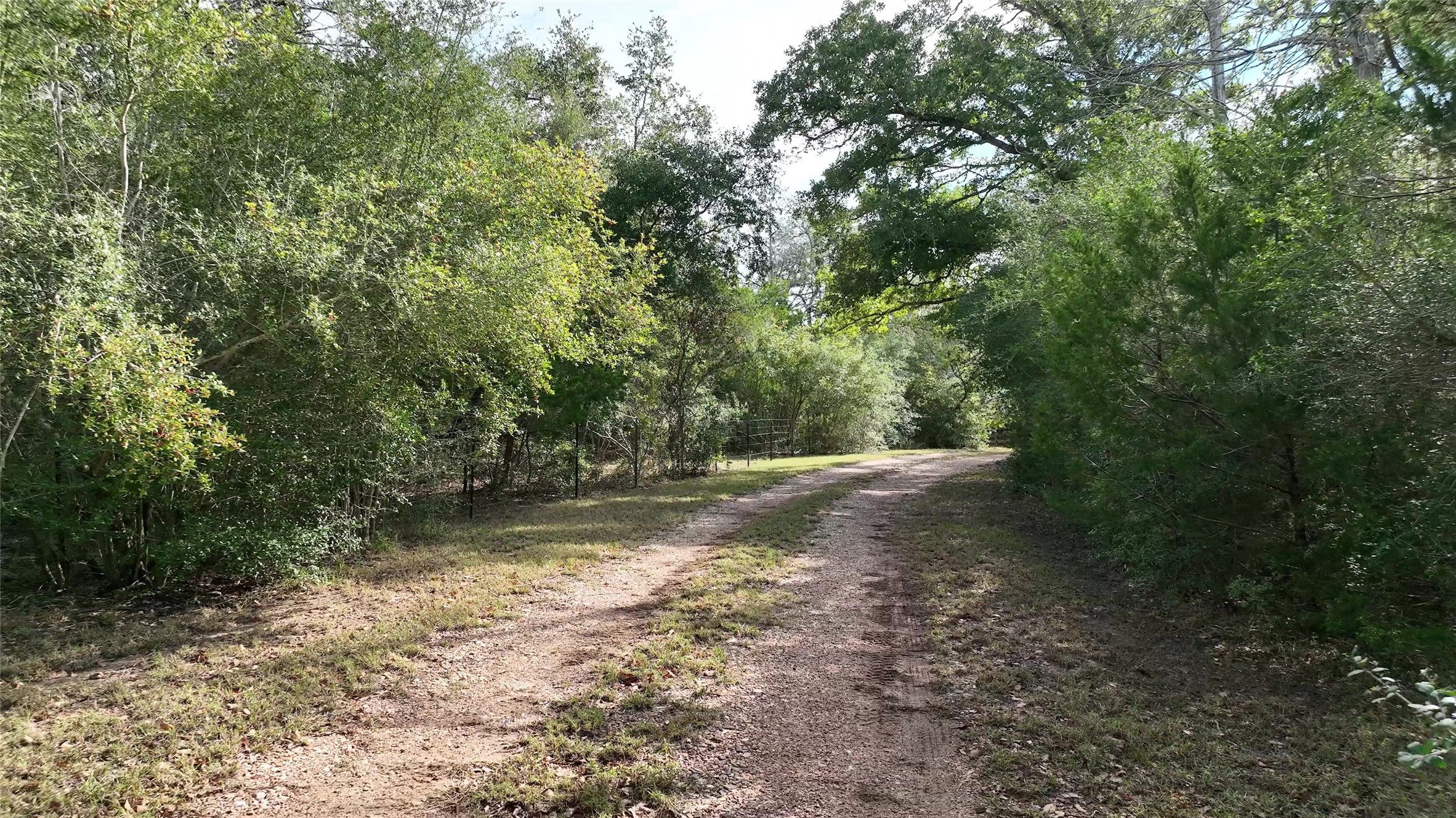 5400 Florida Chapel Road Round Top, TX 78954 - Photo 32 of 45