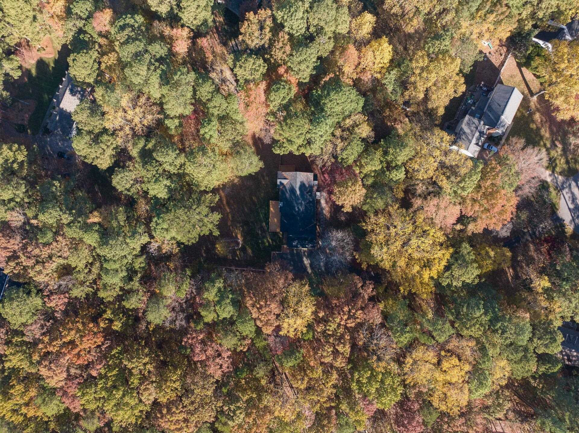 9801 Pine Meadow Lane Raleigh, NC 27615 - Photo 37 of 43 a view of a forest with a tree