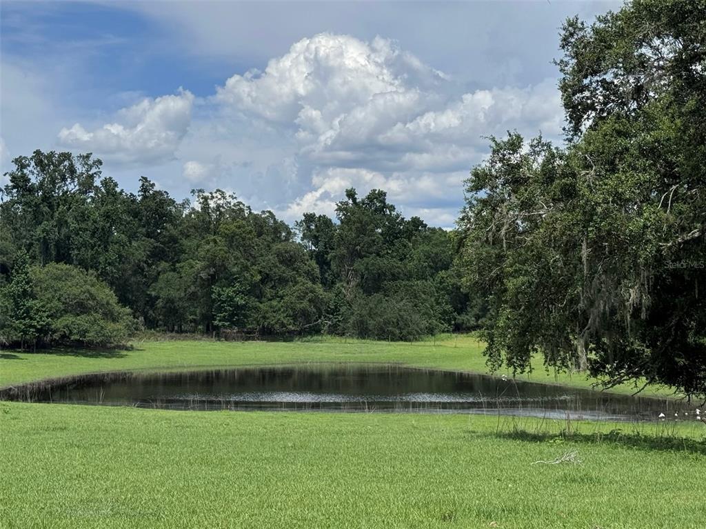 20716 Ramer Road Dade City, FL 33523 - Photo 1 of 2 a view of a golf course with a lake