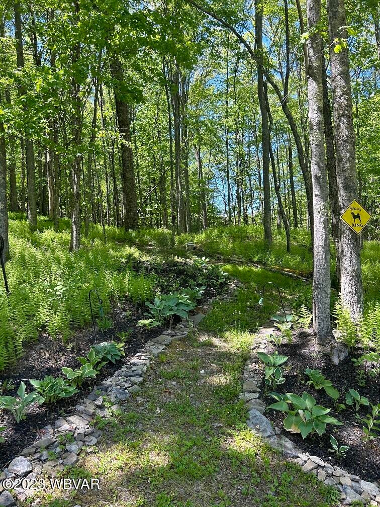 3779 Tamarack Road Renovo, PA 17764 - Photo 21 of 83 Gallery Image 21