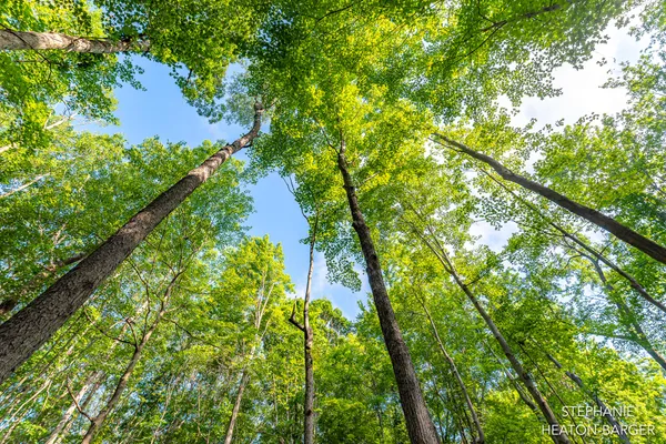 $145,000 | 10365 East Klees Road, Crystal, MI 48818