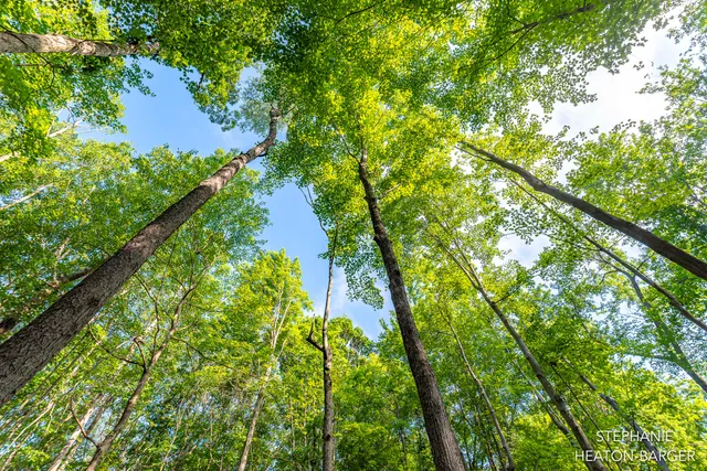 $169,900 | 10365 East Klees Road, Crystal, MI 48818