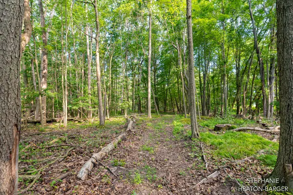 $145,000 | 10365 East Klees Road, Crystal, MI 48818