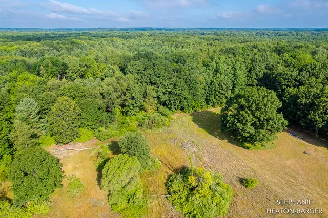 $169,900 | 10365 East Klees Road, Crystal, MI 48818