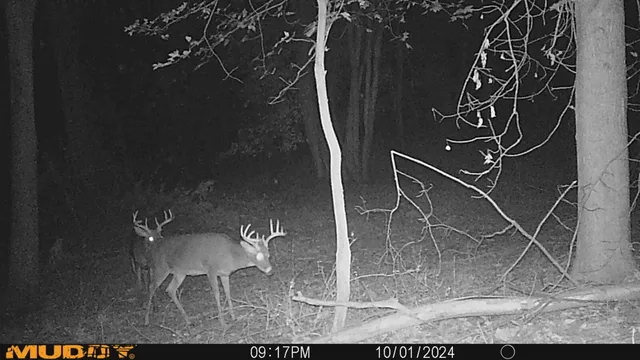 $169,900 | 10365 East Klees Road, Crystal, MI 48818