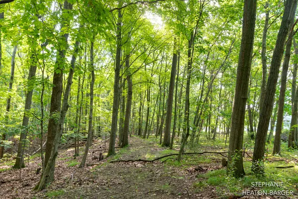 $145,000 | 10365 East Klees Road, Crystal, MI 48818