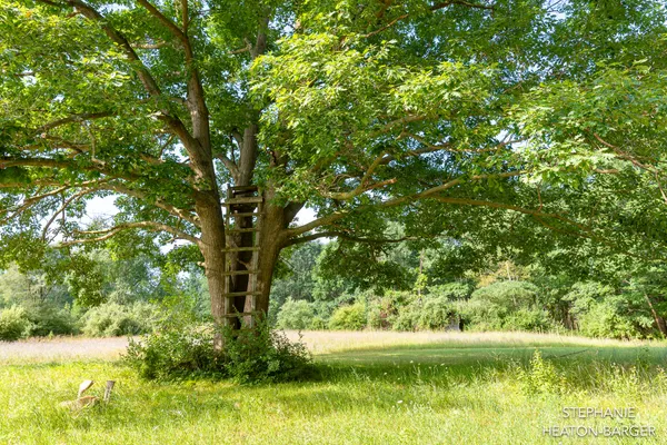 $145,000 | 10365 East Klees Road, Crystal, MI 48818