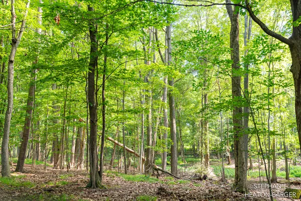 $145,000 | 10365 East Klees Road, Crystal, MI 48818