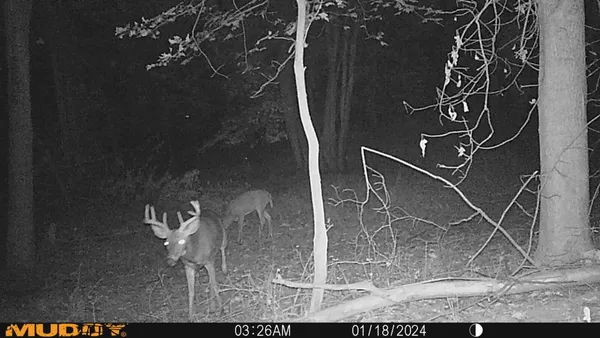 $145,000 | 10365 East Klees Road, Crystal, MI 48818