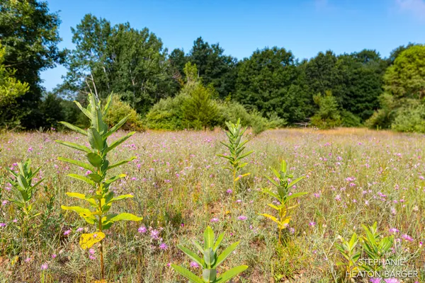 $145,000 | 10365 East Klees Road, Crystal, MI 48818